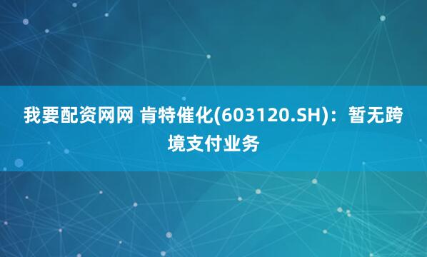 我要配资网网 肯特催化(603120.SH)：暂无跨境支付业务