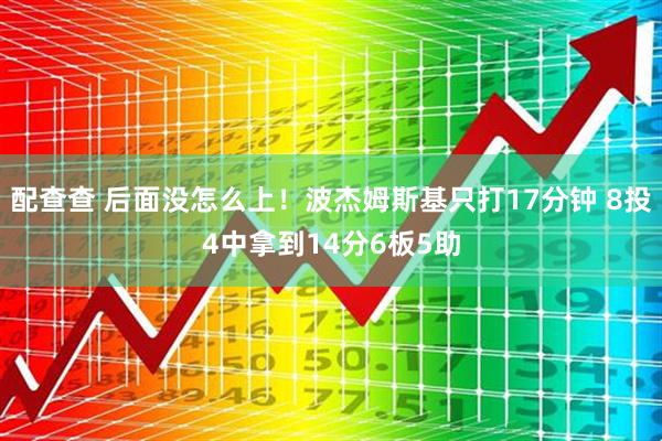 配查查 后面没怎么上！波杰姆斯基只打17分钟 8投4中拿到14分6板5助